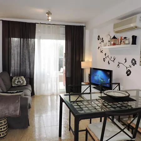 Doree 503 *